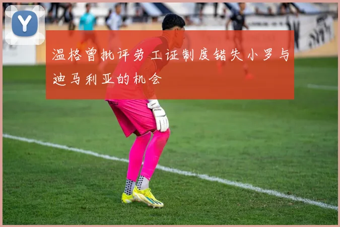 温格曾批评劳工证制度错失小罗与迪马利亚的机会