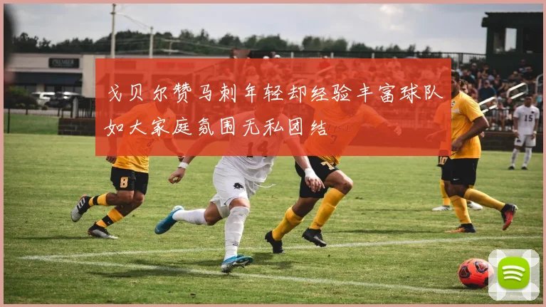 戈贝尔赞马刺年轻却经验丰富球队如大家庭氛围无私团结